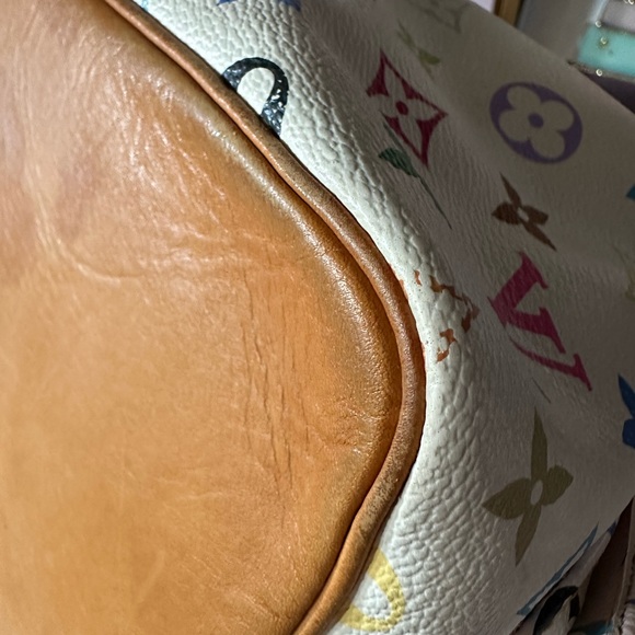 RARE Louis Vuitton Murakami  Monogram Noe bucket bag - Picture 9 of 16